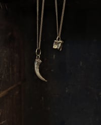 Image 2 of Brass claws and teeth