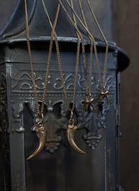Image 1 of Brass claws and teeth