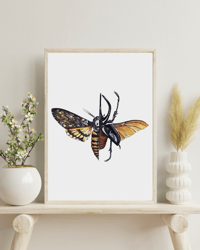 Image 2 of Death's-head hawkmoth & Atlas Beetle Watercolor Illustration PRINT 