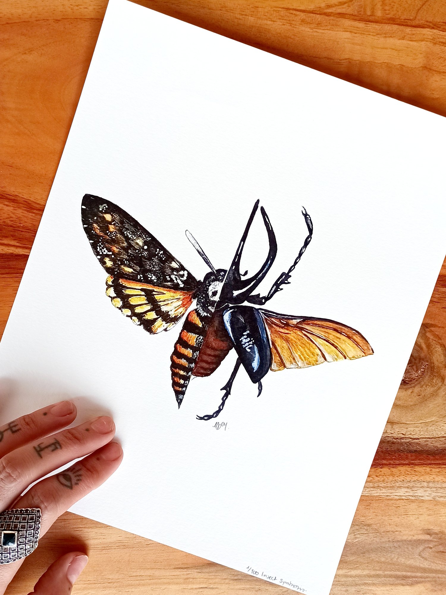 Image of Death's-head hawkmoth & Atlas Beetle Watercolor Illustration PRINT 