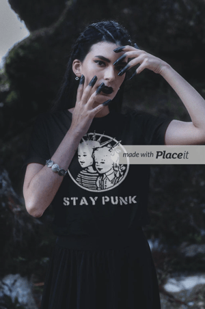 Image of Stay Punk T-Shirt