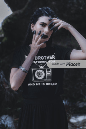 Image of Big Brother is Watching T-Shirt