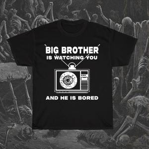 Image of Big Brother is Watching T-Shirt