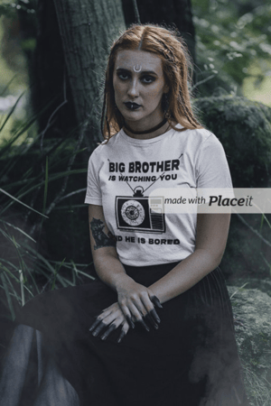 Image of Big Brother is Watching T-Shirt