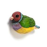 Image 2 of Mini Bird: Gouldian Finch by Calvin Ma 