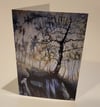 Silver Birch at Lawrencefield Greeting Card