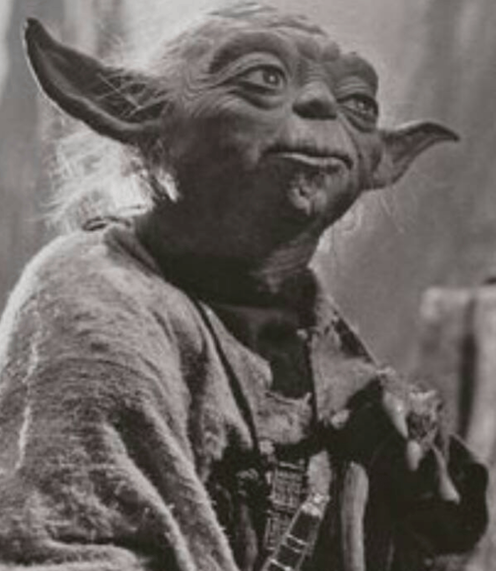 Yoda blissl