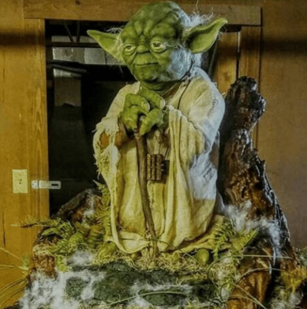 Yoda blissl
