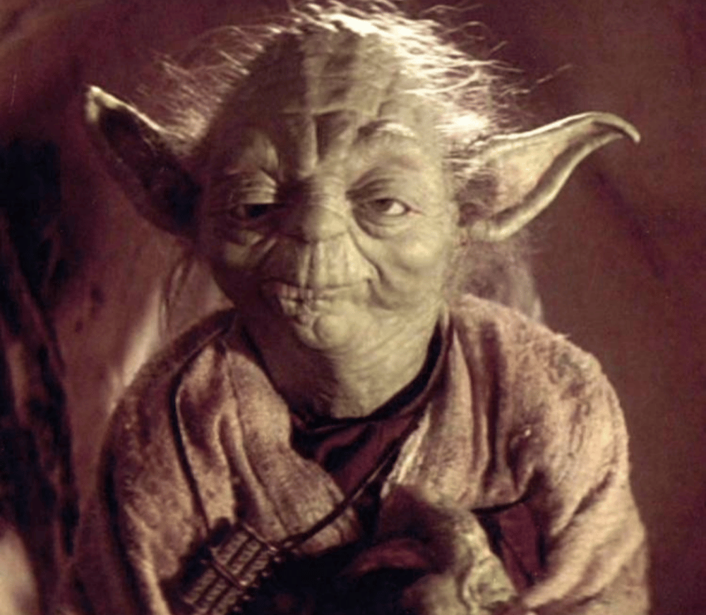 Master Yoda accessories package