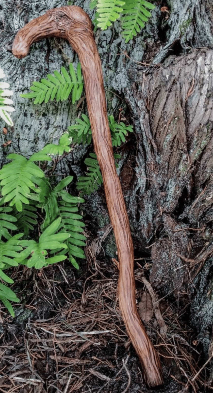Yoda's cane (Gimer Stick)