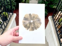 Image 1 of Mushroom Chap Book
