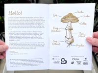Image 5 of Mushroom Chap Book