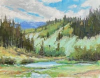 Stock Pond