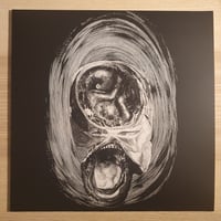 Image 1 of Rhinocervs - RH16 LP