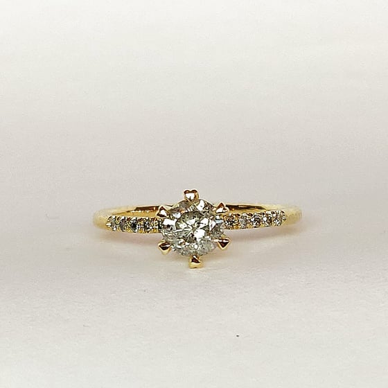 Beeld van Salt&Pepper stunner