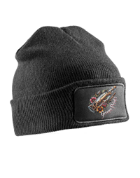 Image 1 of Beanies 2