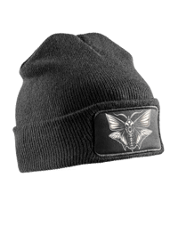 Image 2 of Beanies 2