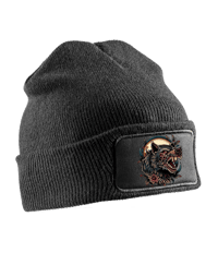 Image 5 of Beanies 2