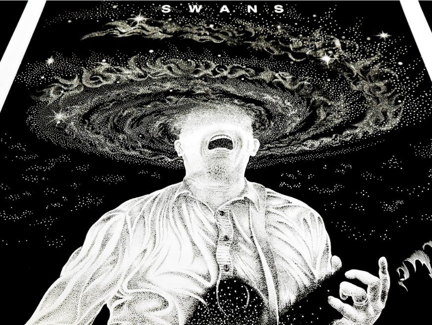 Swans art print