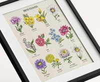 Image 3 of BIRTH FLOWERS Botanical Art Print and Notecards Set