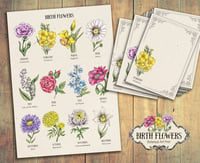 Image 2 of BIRTH FLOWERS Botanical Art Print and Notecards Set