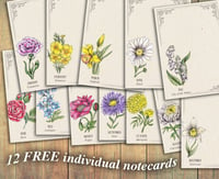 Image 4 of BIRTH FLOWERS Botanical Art Print and Notecards Set