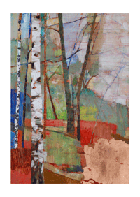 Image 2 of September Birches.