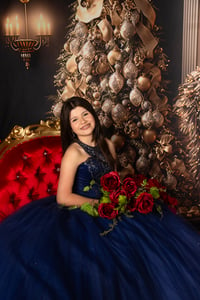 Image 1 of Christmas Mini-Session Portraits in Studio (Scheduled Dates)