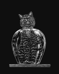 »Trapped Whiskers«