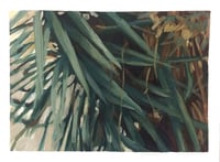 Image 2 of SISA SOLDATI - Estudio Yucca