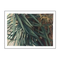 Image 1 of SISA SOLDATI - Estudio Yucca