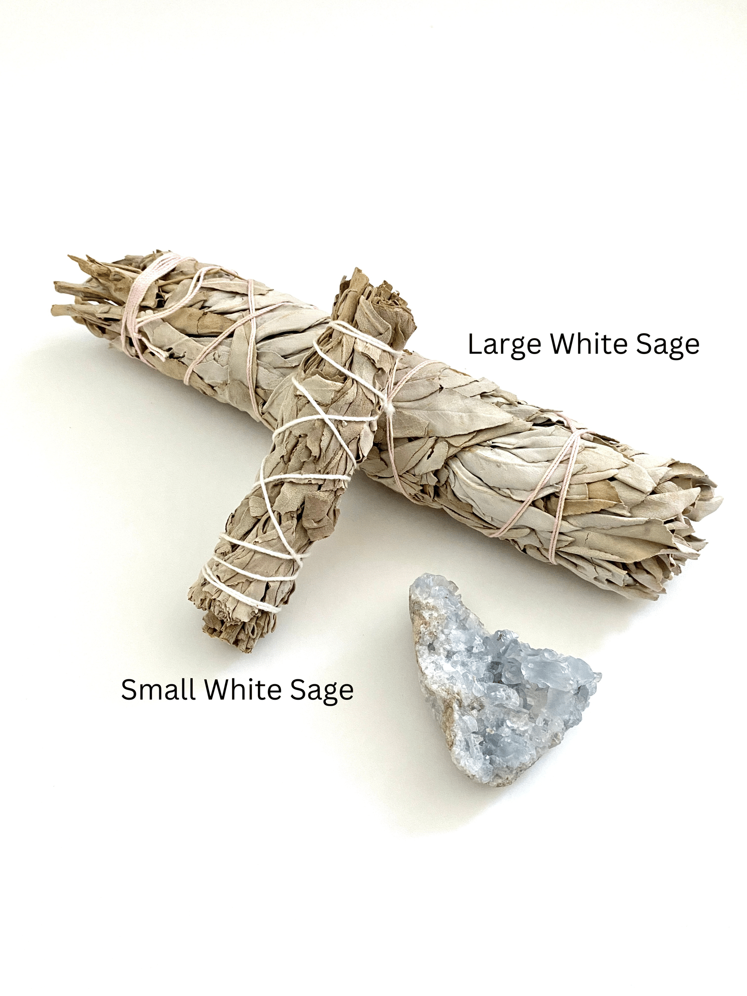 Image of Large White Sage