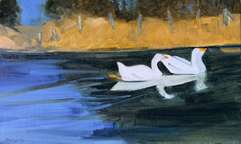 Image of Three Geese on Pasture Pond