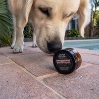 Image 3 of Heal my Paws! - Heel and Paw Balm