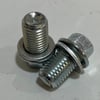 Crankcase drain plugs