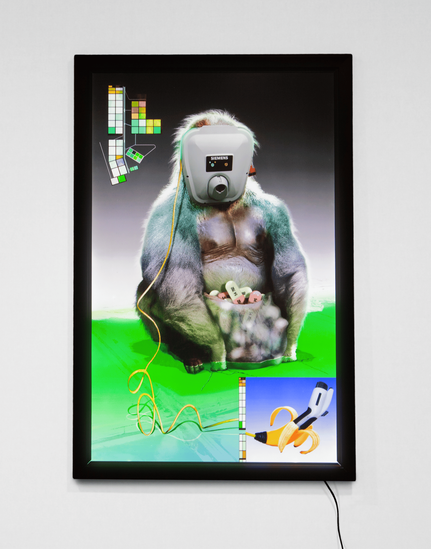 Charger Bear (24"x36" Light Box, 2021)