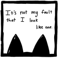 Image 4 of I am a lion.