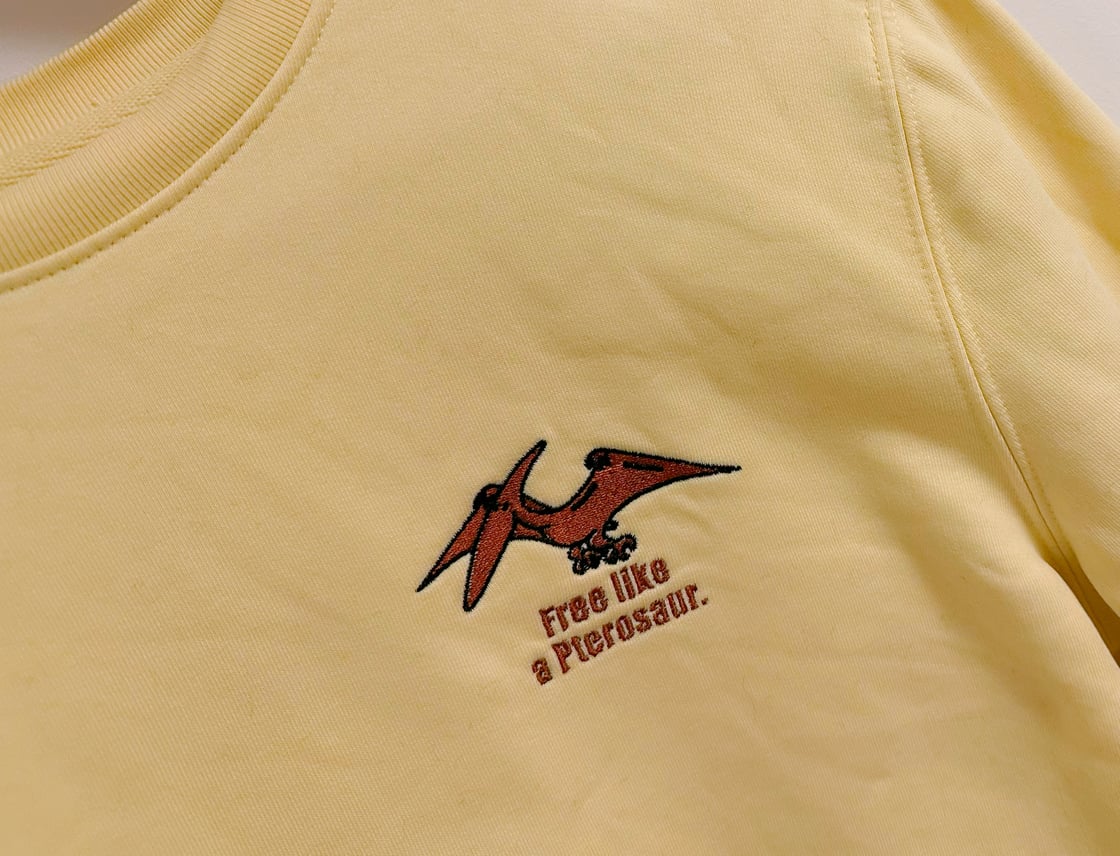 Image of Pullover - free like a Pterosaur