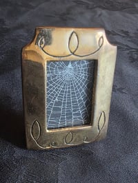 Image 2 of Small Framed Preserved Web B