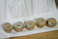 Image 5 of Moldy Mini Muffins