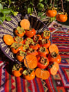 Organic California Fuyu Persimmon Box - Local 