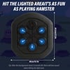 RhythmStrike™ Rechargeable Musical Punching Wall Boxing Machine