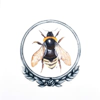 Image 5 of Framed Bee Watercolor Illustration PRINT 