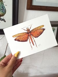 Image 4 of Giant Grasshopper Watercolor Illustration PRINT 