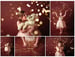 Image of Glitter Mini Session Balance