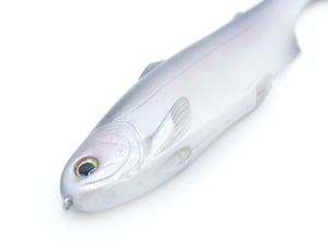 Image of Tyrant 10 ( ZEALOT )