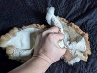 Image 3 of Dorsal-cut Booted Red Rex "Back Pelt"