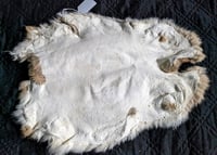 Image 3 of Fawn Back Pelt