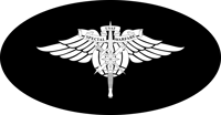 United States Air Force Special Warfare Sticker