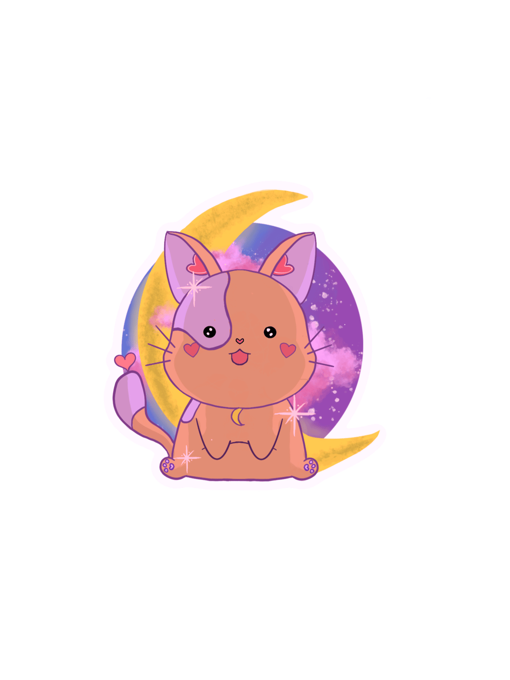 Image of cosmo cat!